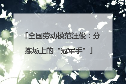 全国劳动模范汪俊：分拣场上的“冠军手”